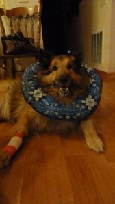 2013ImportOf2011Photos 189