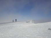 Springtime Travels 391