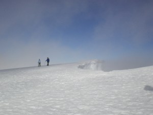 Springtime Travels 391