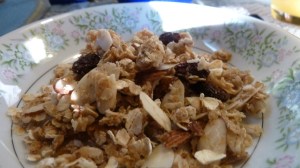 granola4