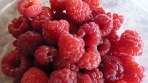 BergtonPigTailsPonyTailsRaspberries 060