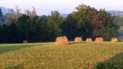 FarmHayBalesEdited