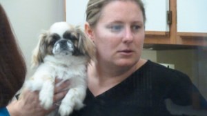 WaterwayAnimalHospitalAssistant