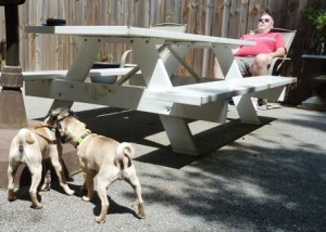 WaterwayAnimalHospitalNap