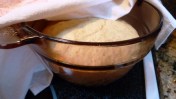 DoughRisingEdited