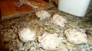 TortillaBalls